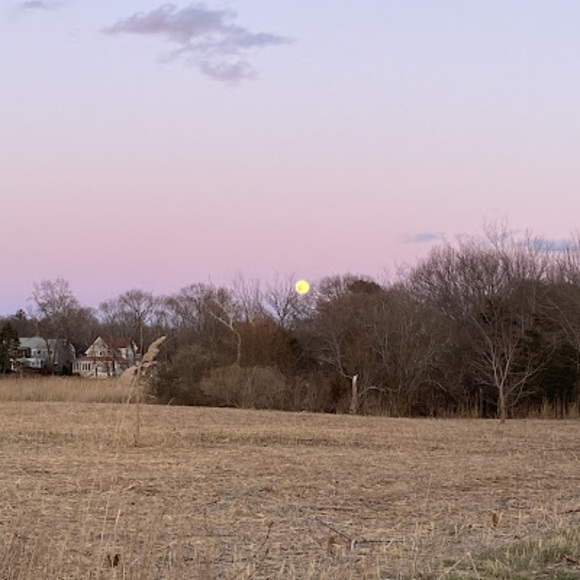 Meet your Posher, Judith - Picture 1 of 1